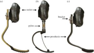 The three variations of prosthetics used in Alena Grabkowski's prosthetic parameters research.