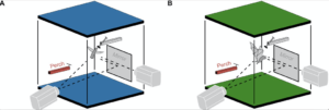 Camera and box setup for experiment