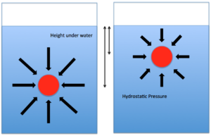 Diagram showing hydrostatic forces. Magnitude of the hydrostatic force is larger as it goes deeper below the surface.