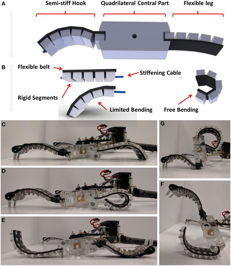 Schematic and pictures of soft robot design.