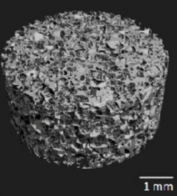 Image of a 3D cylindrical scaffold consisting of pores, similar to a sponge. 