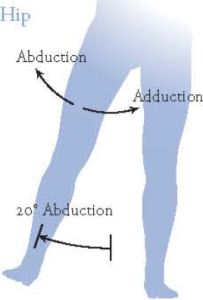 Diagram of hip adduction and abduction