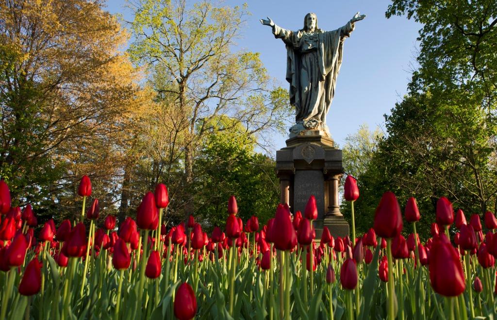 April 11, 2012; Sacred Heart Jesus statue and tulips in Main "God" Quad. Photo by Barbara Johnston/University of Notre Dame