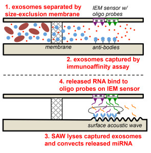 webpage early detection figure