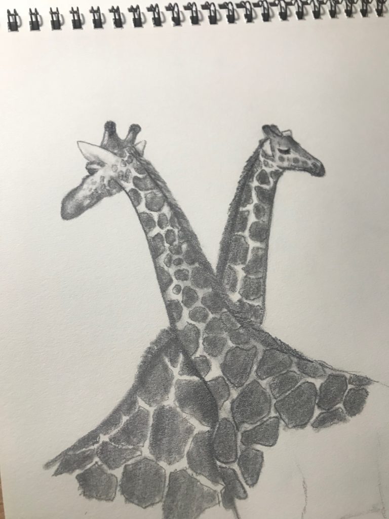 Giraffe drawing in graphite