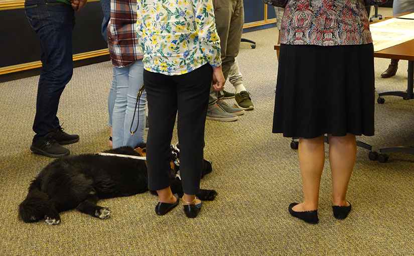 Service Animals in Special Collections