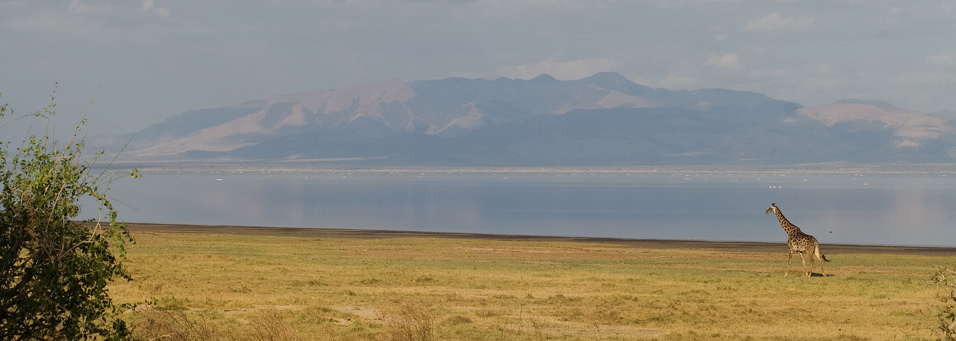 Lake Manyara by Fanny Schertzer (Wikimedia)