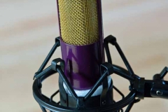 AUSTIN Ribbon Microphone ($250)