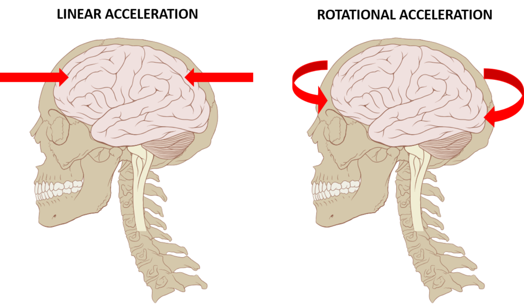 Brain biomechanics in the wild