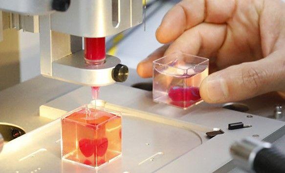 A biological 3D printer making a small model of a human heart