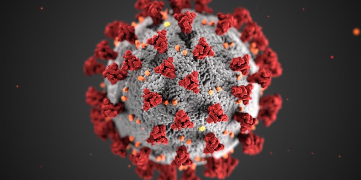 the novel coronavirus: how an invisible invader halted the world