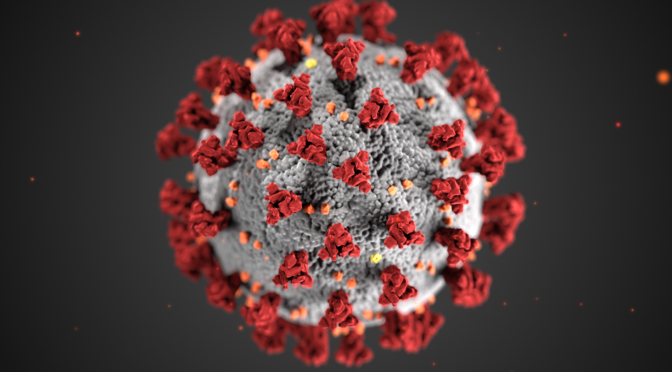 the novel coronavirus: how an invisible invader halted the world