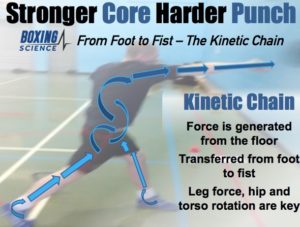 Kinetic Chain: Force is generated from the floor and transferred from foot to fist. Leg force, hip and torso rotation are key. Arrows show movement of force from foot, through the body, to fist.  