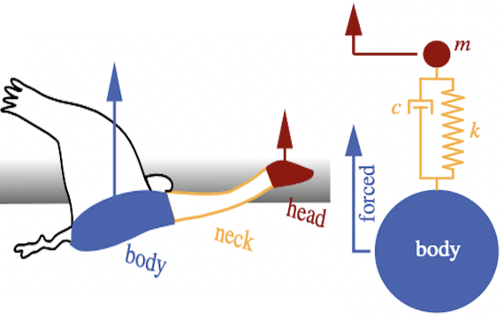 Avian vibration isolation system represented as mass-spring-damper-system