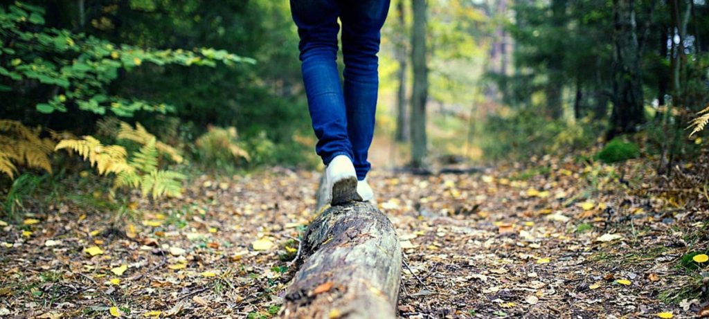 Person walking in woods, balancing on a fallen tree