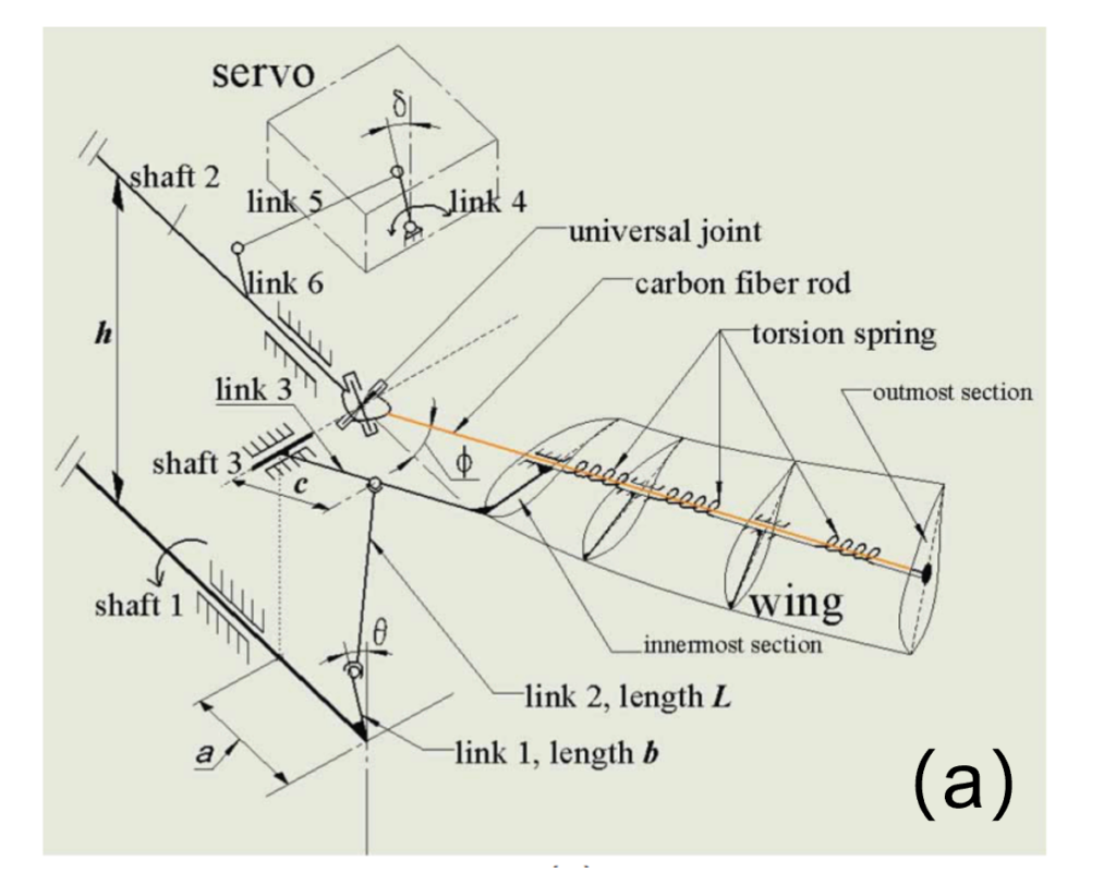 Schematic for the design of a physical model of bat wings.