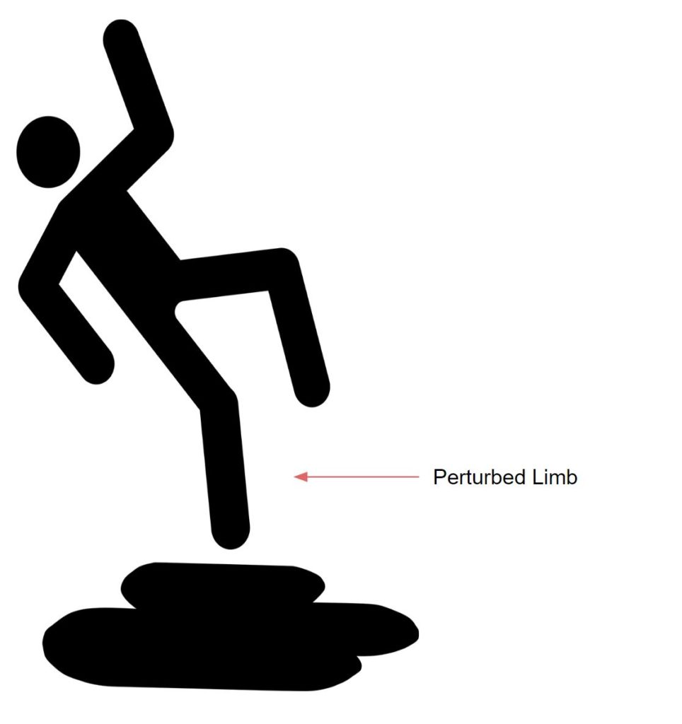 Image depicting a person slipping backwards with the perturbed limb labeled. 