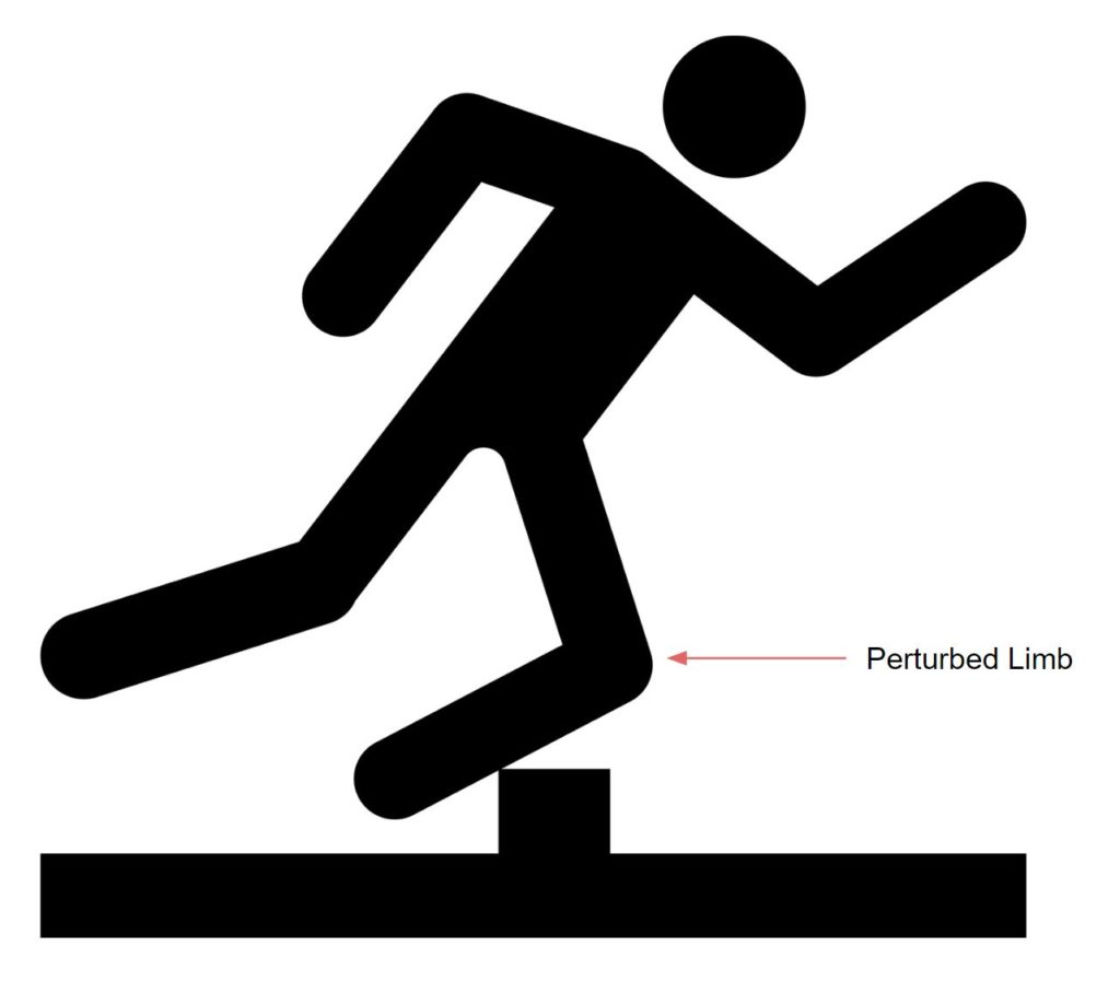 Image depicting a person tipping over an obstacle with the perturbed limb labeled. 