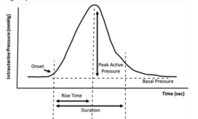 Graph of uterine contractions from onset to peak active pressure to basal pressure.
