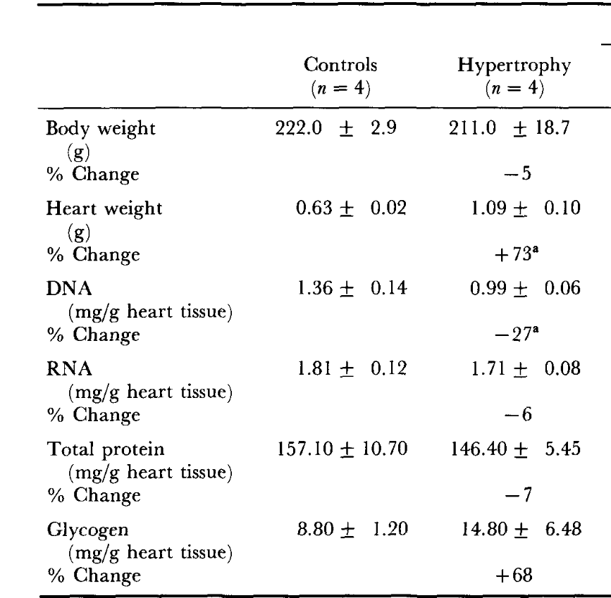 I could not find a study on how the human heart adapts to constant months of swimming. However, I found a study that does it for mice. Each day, mice were forced to swim 5 hours a day for 6 days a week for 9 weeks. At the end of the experiment, the heart of the mouse that endured swimming was 73% larger in weight than the control group. 