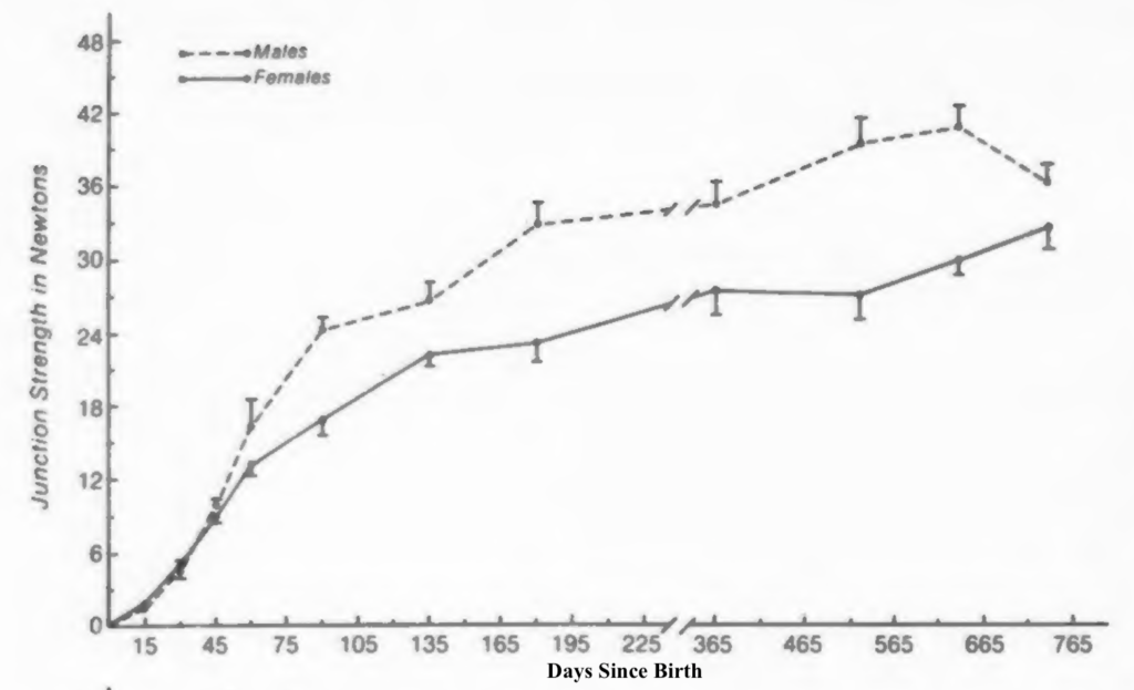 The relationship between days since birth and knee junction strength in rats is positive.
