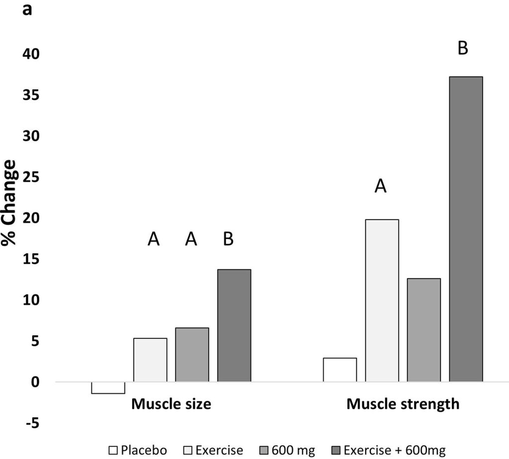 Graph from New England Journal of Medicine study depicting the percent change in muscle size and strength as related to steroid use and exercise.