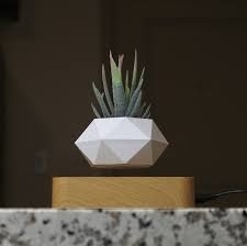 Plant in pot, levitating above its magnetic base.