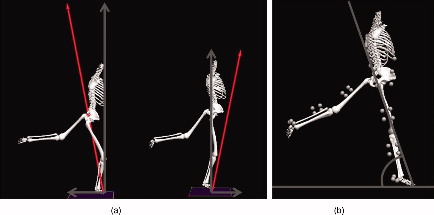 dancers-athletes-or-artists-biomechanics-in-the-wild