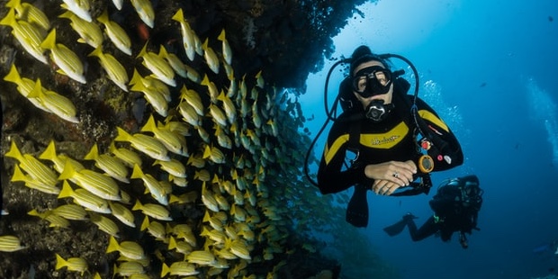Under Pressure – How Underwater Environments Affect SCUBA Divers