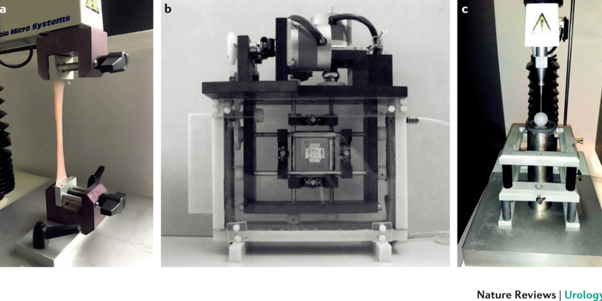 Engineering Hope: Advancing Bladder Biomechanics for Life-Changing Solutions