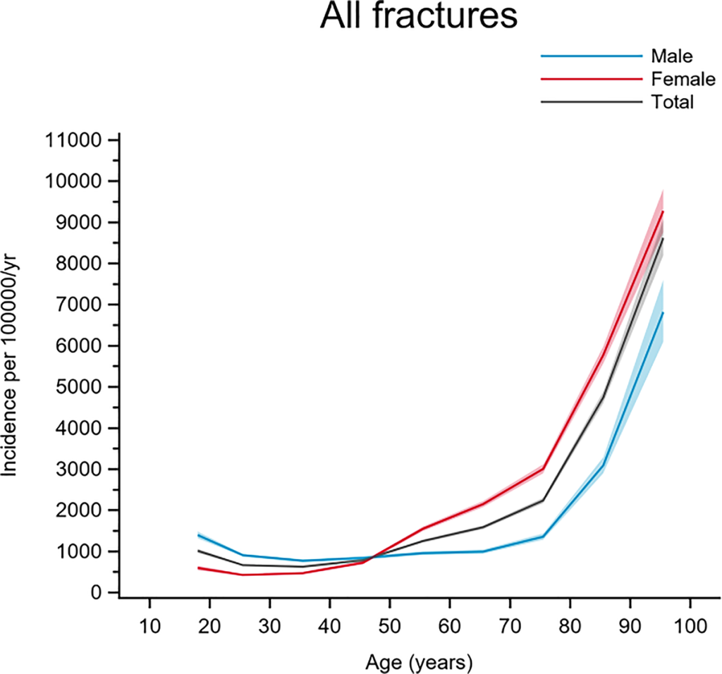 Graph showing fractures growing exponentially with age.