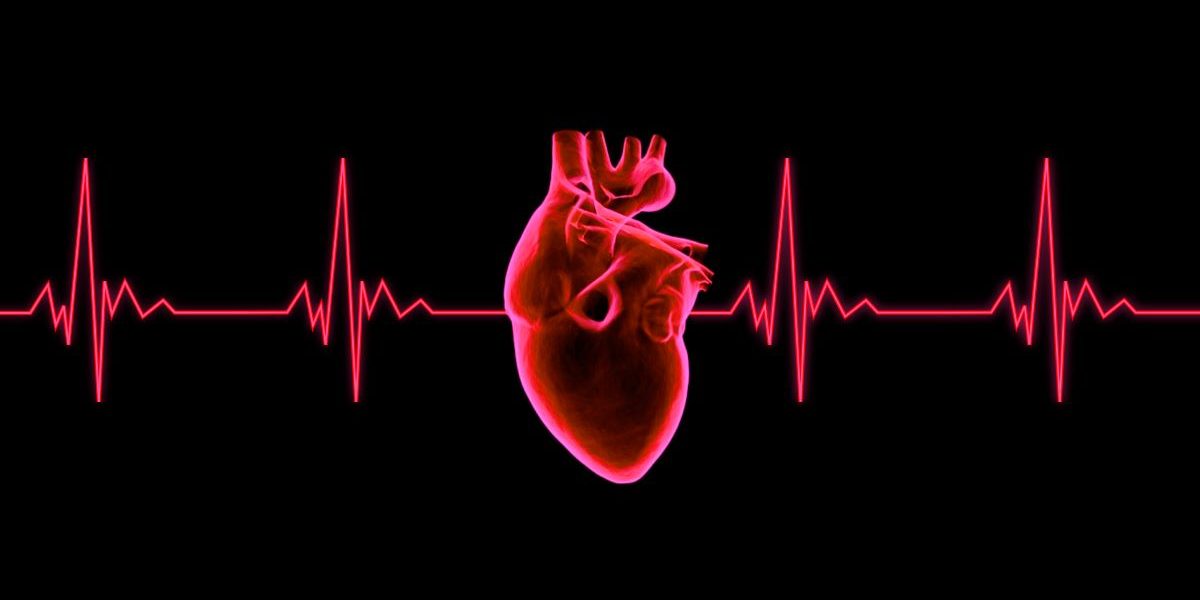 A beating heart with an EKG wave behind it.