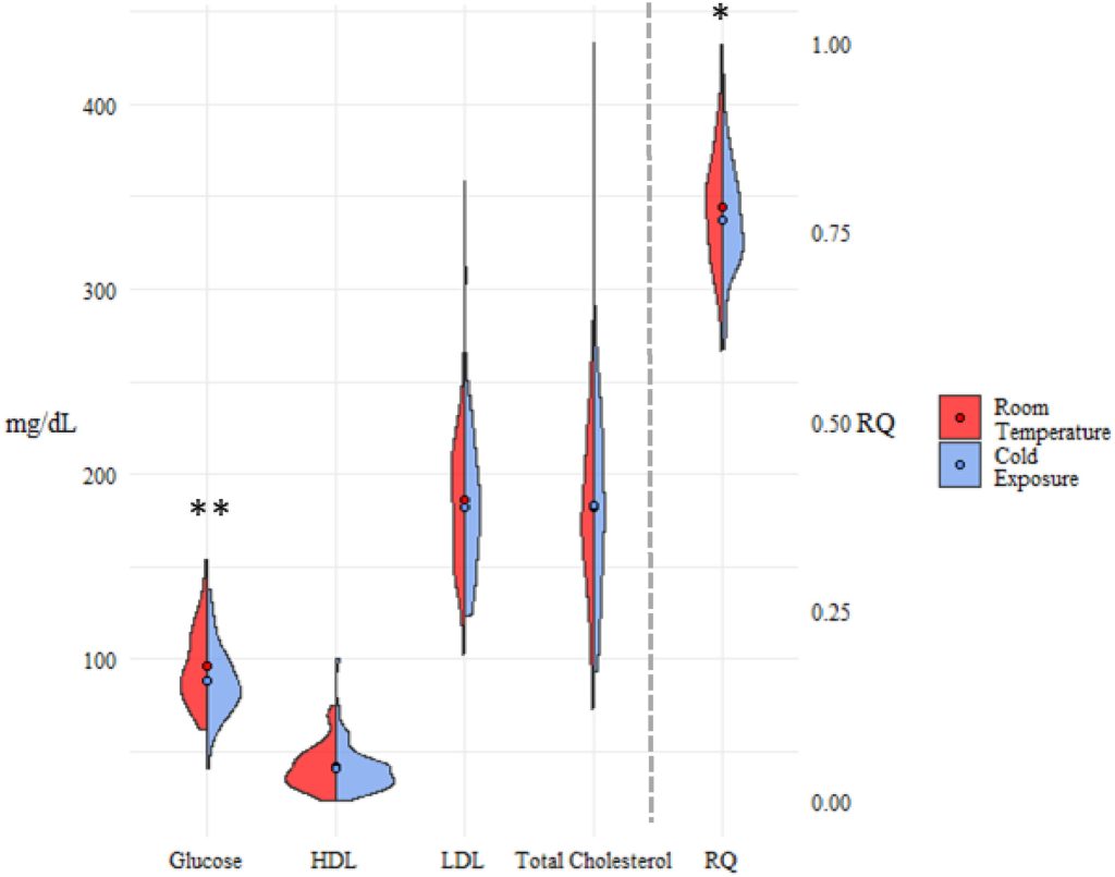 Violin graph demonstrating that the Samoans in this study used a mix of fatty acids and glucose to fuel brown adipose tissue activity.