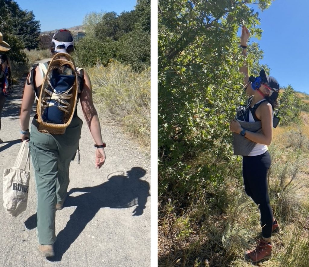 Left: woman carrying a sandbag baby in a cradle while foraging for acorns. She is wearing a mobile metabolic unit.

Right: woman gathering acorns while carrying a sandbag baby in a sling. She is also wearing a mobile metabolic unit.
