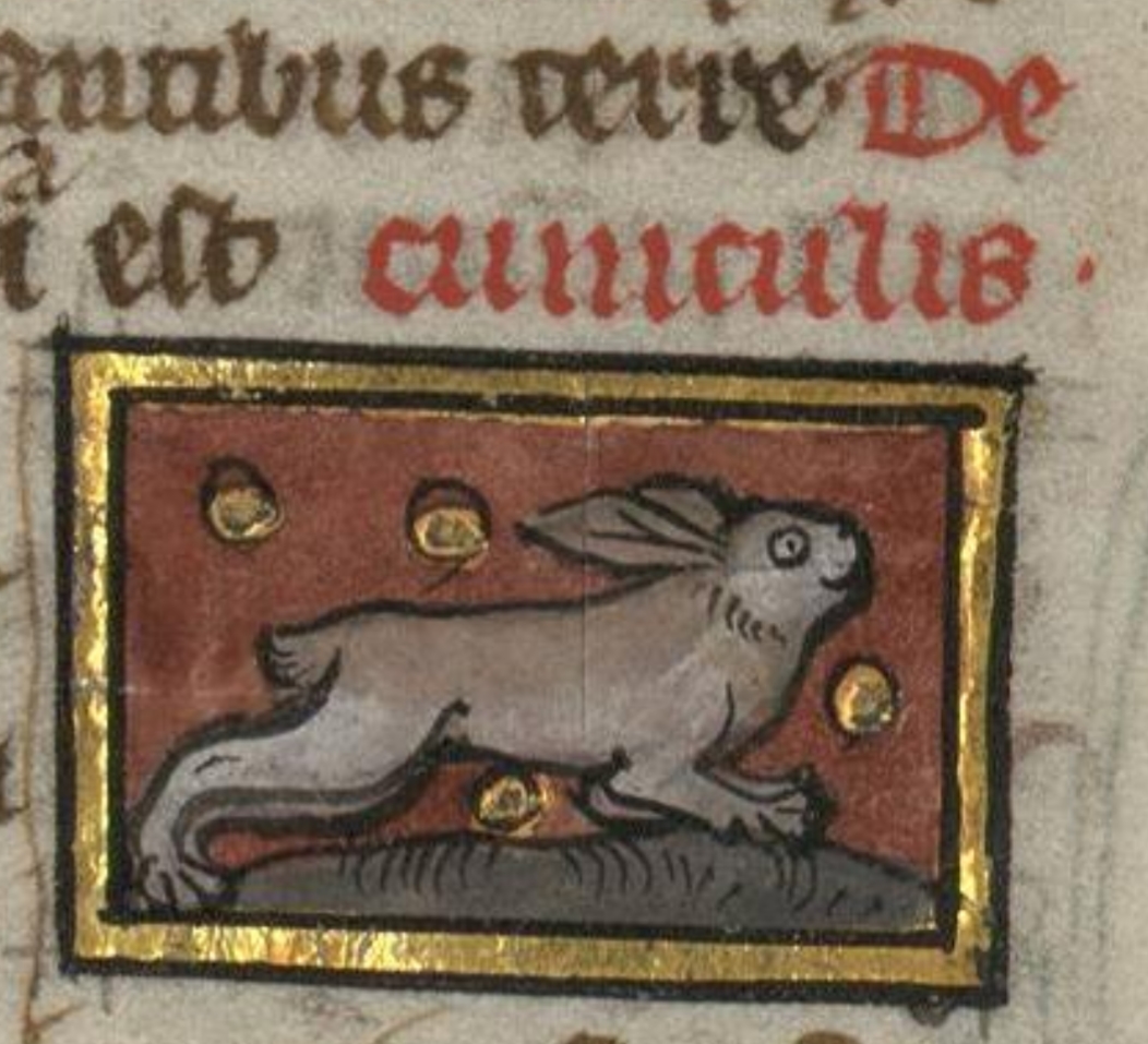 Medieval Rabbits: Ancient Symbolism, English Migration, and Manuscript ...