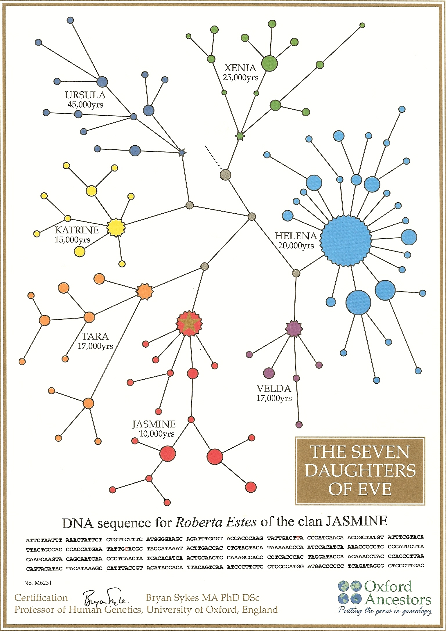 Схема евы 1. Генетическая генеалогия. Mitochondrial DNA Family Tree. Брайан Сайкс семь дочерей Евы. Eve DNA