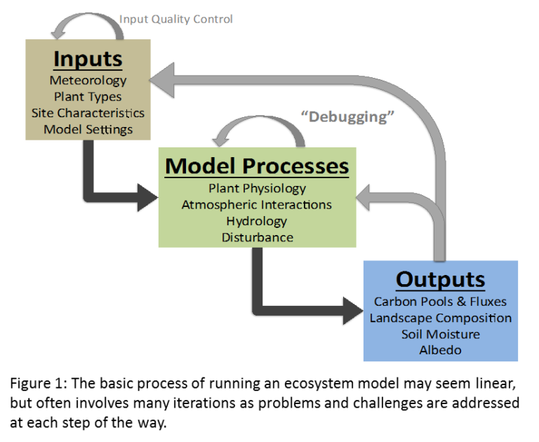 Models Part 2: A Day in the Life of an Ecological Modeler | PalEON Project