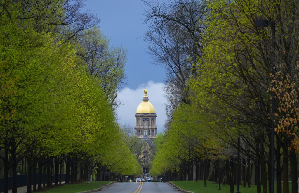 A view of the golden dome down Notre Dame avenue
