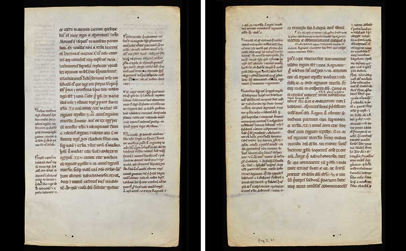 A Closer Look at a Glossed Bible Leaf