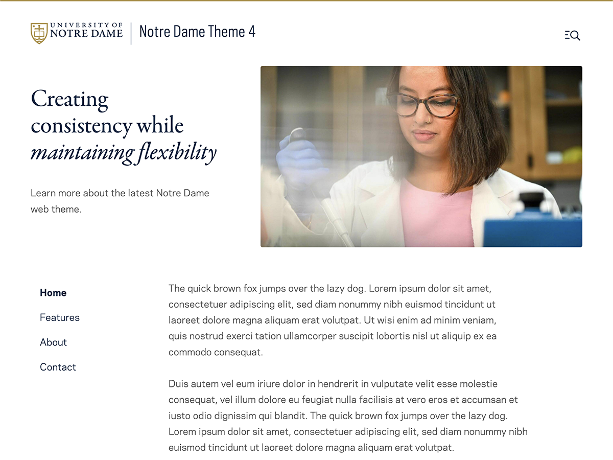 Screenshot of the ND Theme 4.0 website